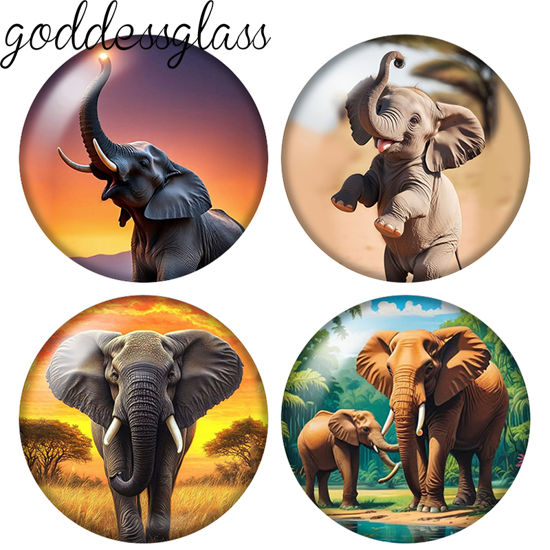 Elephant Cute Wild Animal 10pc - Body Jewelry Top review and price