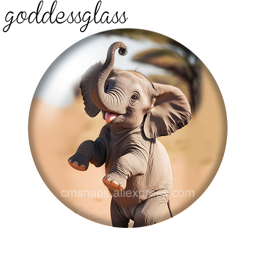 Elephant Cute Wild Animal 10pc - Body Jewelry Top review and price