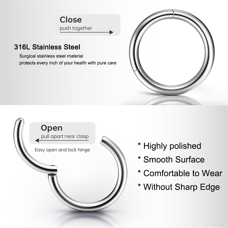 16G 316L Surgical Steel Hinged - Body Jewelry Piercing review and price