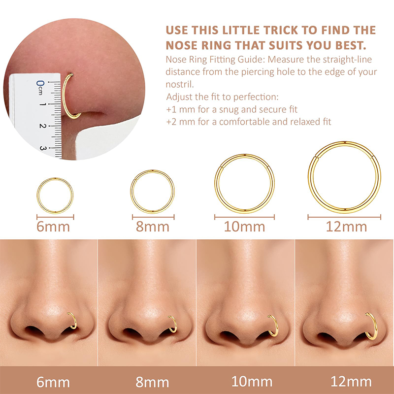 16G 316L Surgical Steel Hinged - Body Jewelry Piercing review and price