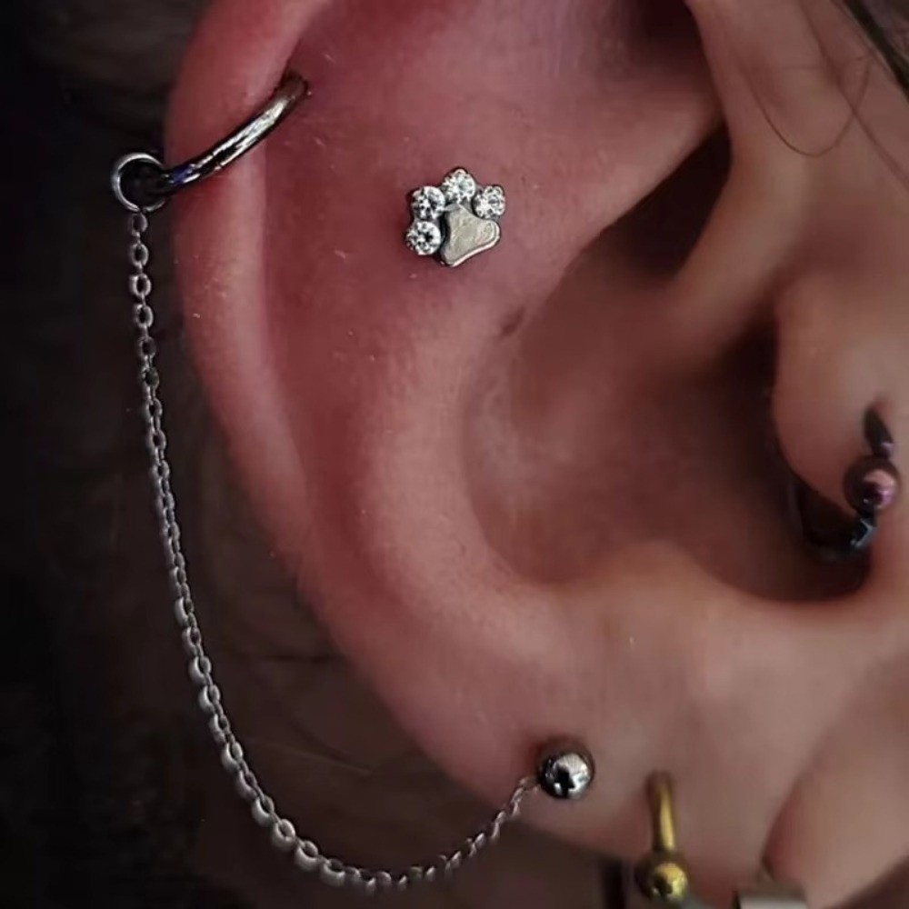 Titanium Nose Chain Three Laye - Body Jewelry Piercing review and price